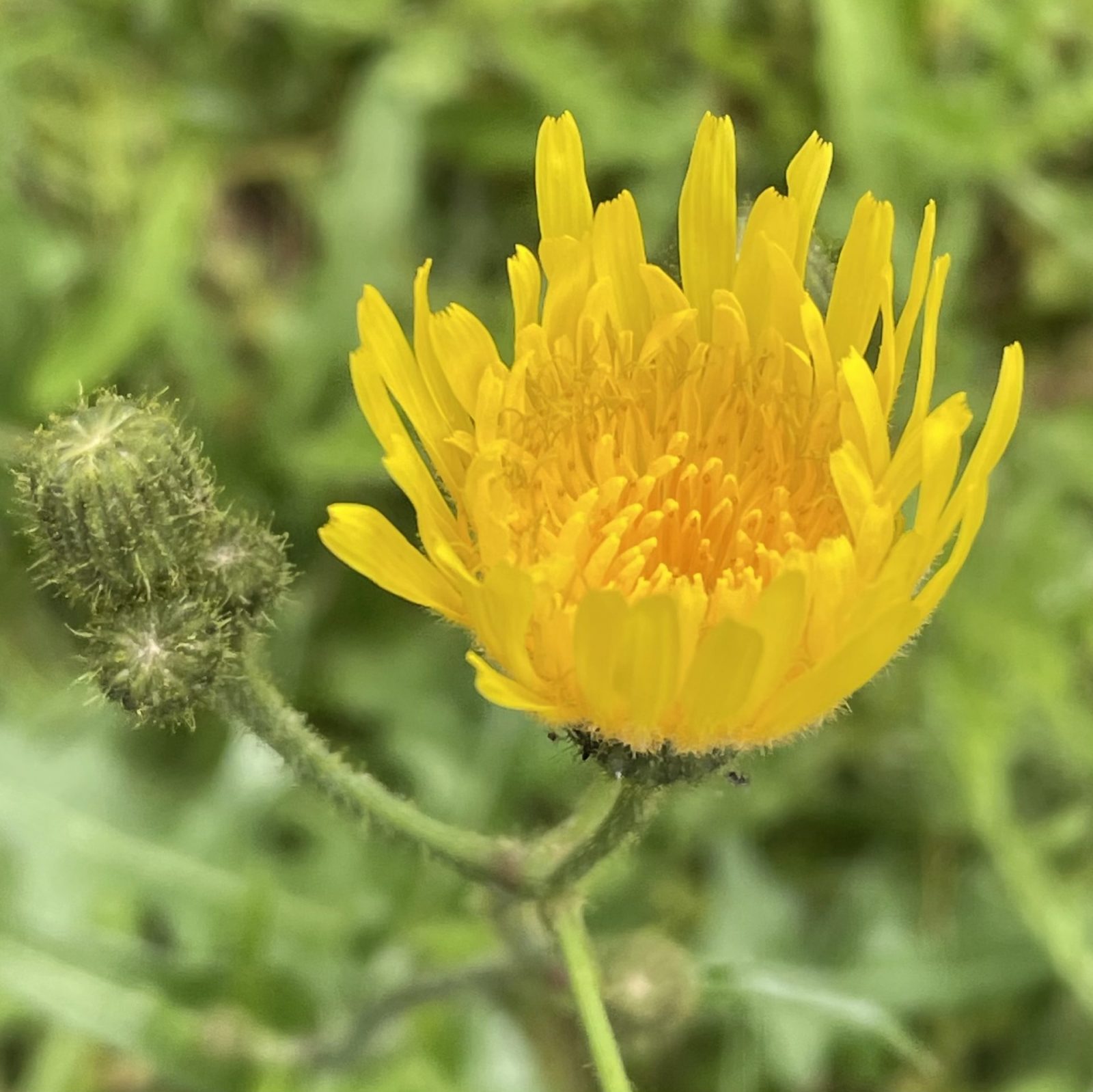 7BC250F2-437C-4236-8C5C-207E77F94D01