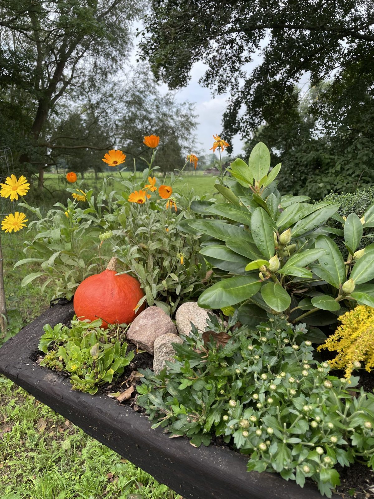 7BEFBF81-E1DE-49FD-8B57-052A79466CFC