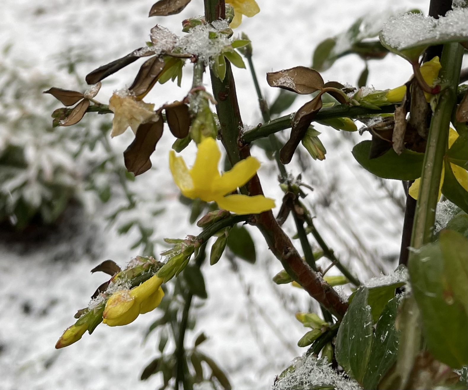 7C1FA391-93AF-4B74-AF77-E1EA916543E4