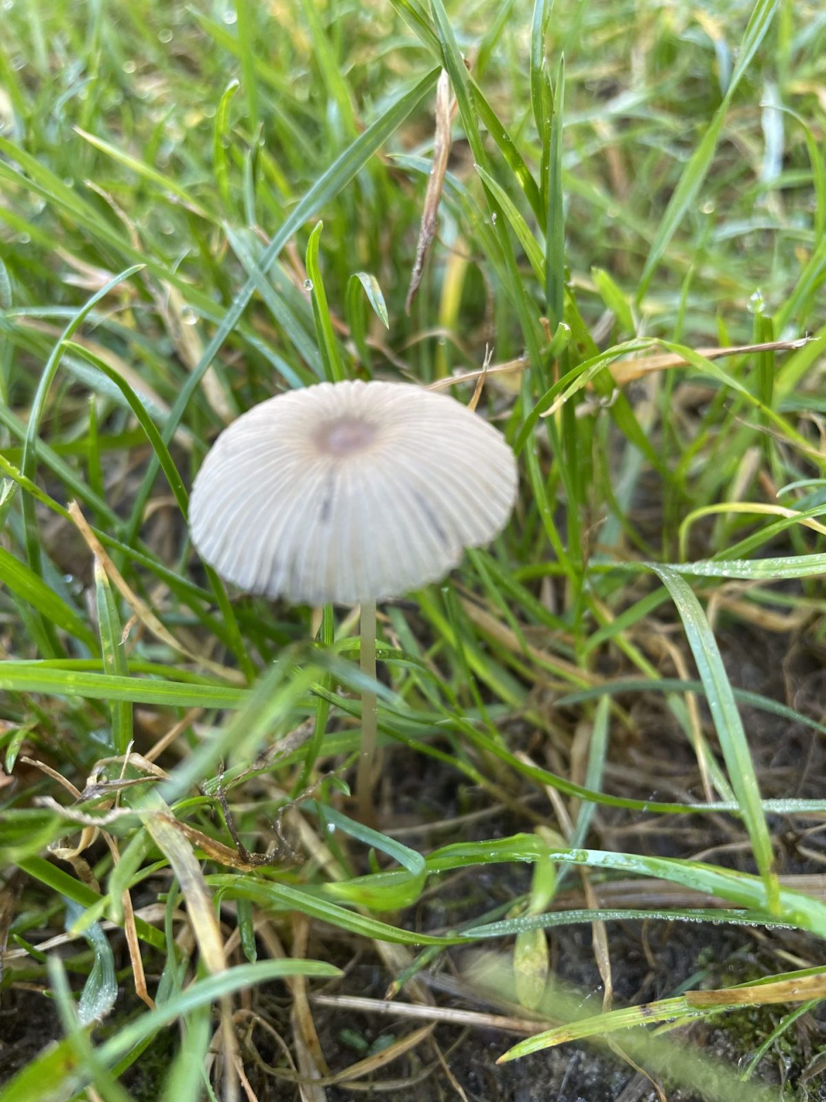 7C41C99C-7FE2-4416-8217-31FCBF0CF92D