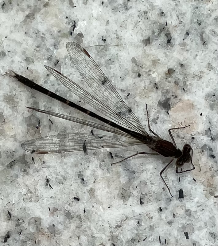 7C6342F9-38BB-4FF3-80AD-D2C24F7E9642