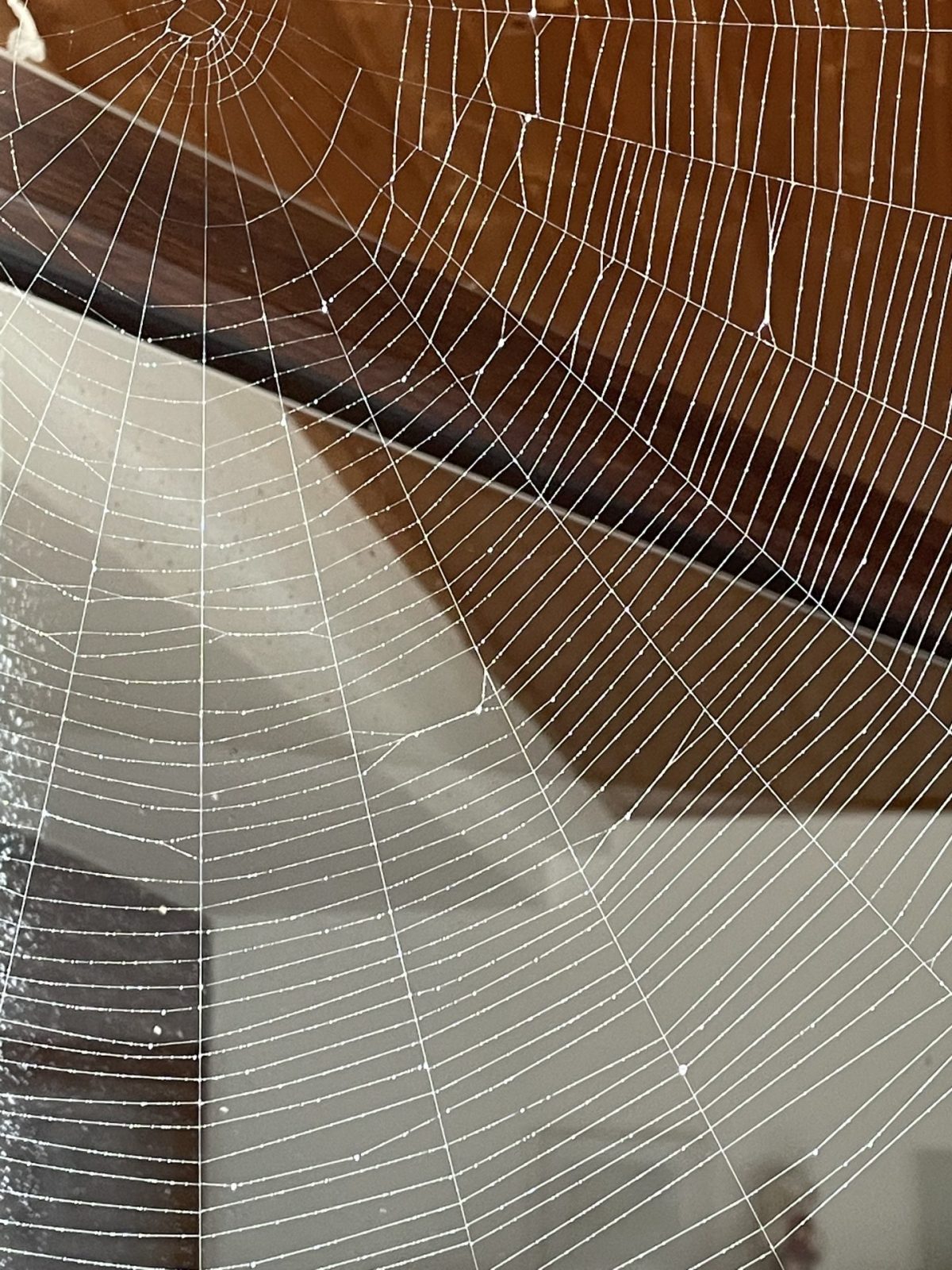 7C67E967-82E0-4BBF-AAF9-05DBAA4E9052