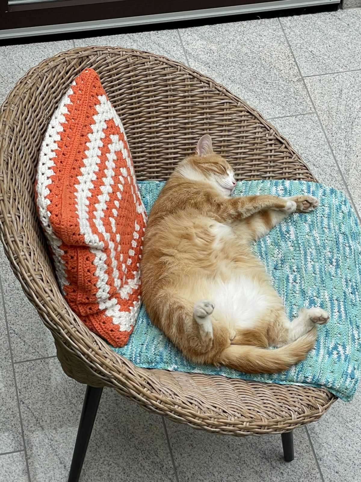 7D246D7F-A7EE-4BEB-831C-EFDF38F93E5C