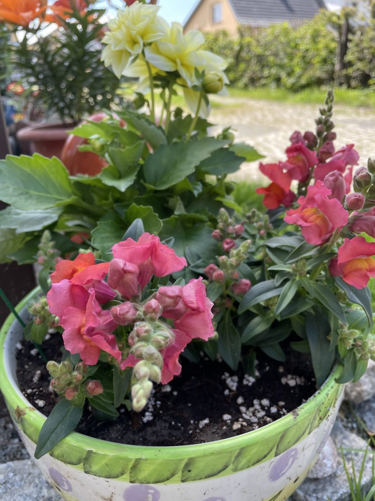 7D77F0D2-298B-476C-9538-ADD7637CD64F