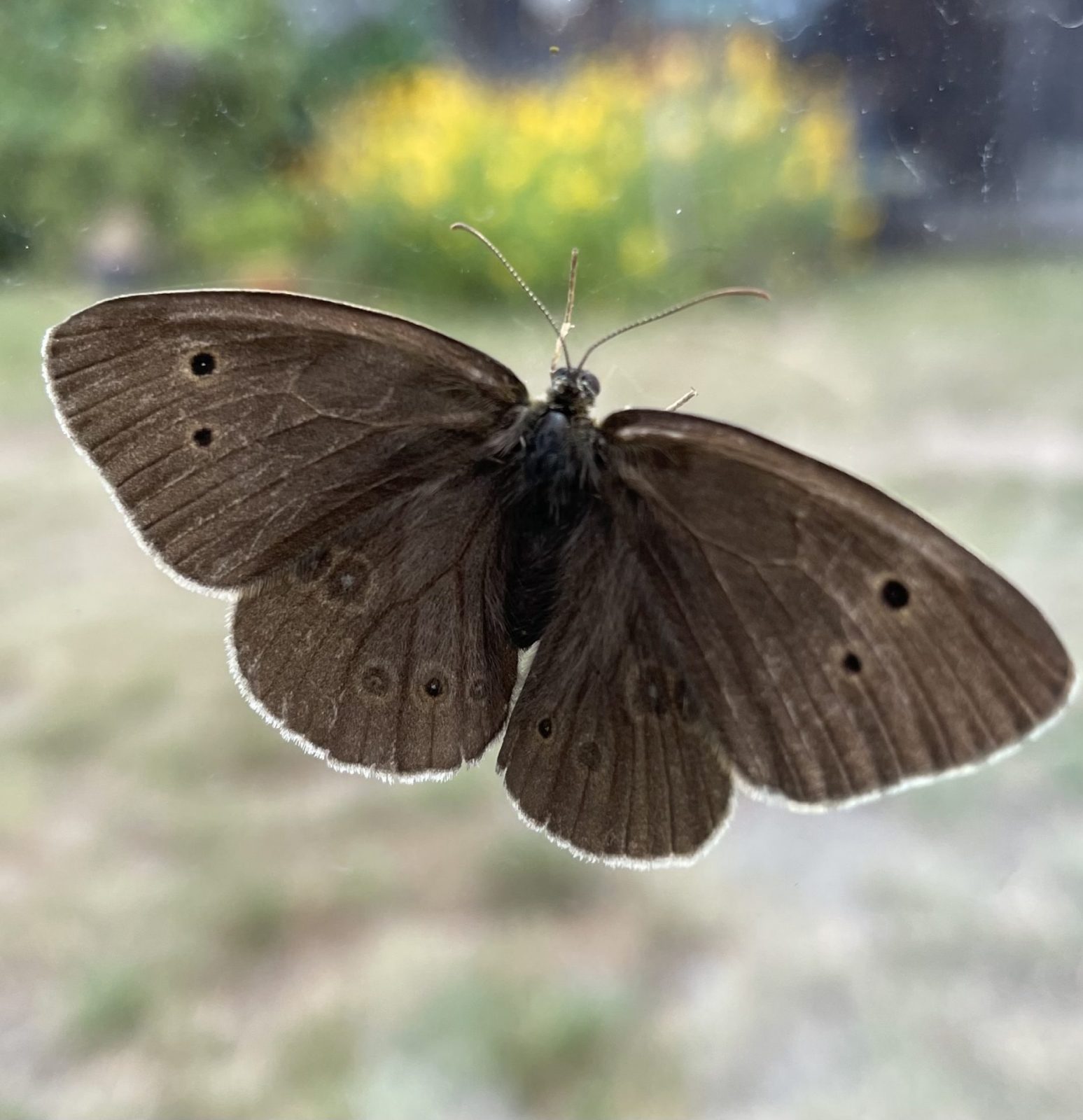 7D819DA8-581E-474B-B93F-C5DF402BD31B