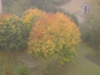 7DAD33C0-4565-49C7-9967-900C503FB35A