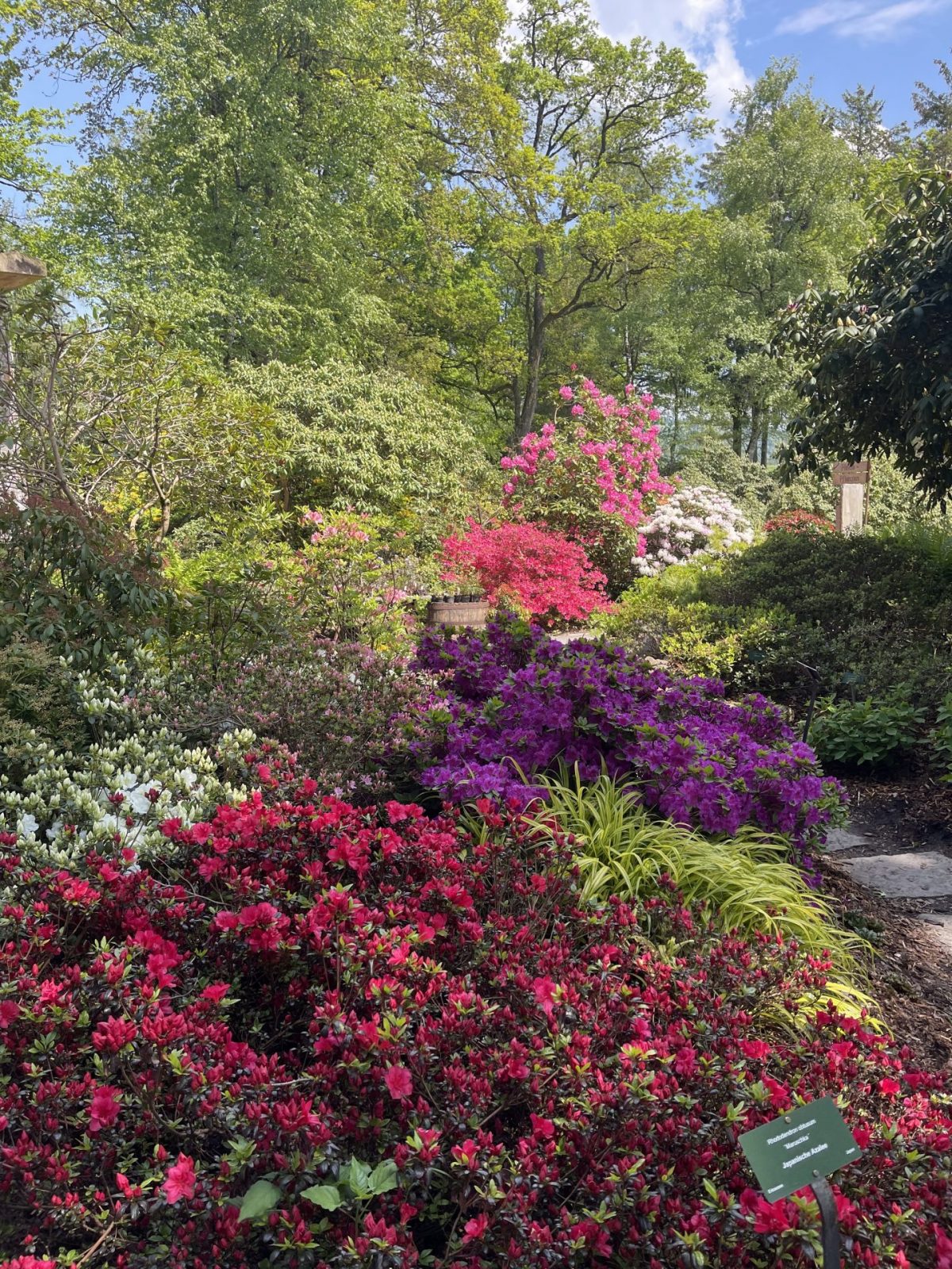 7E1779B6-3249-4CC7-AB6E-5D3457297387