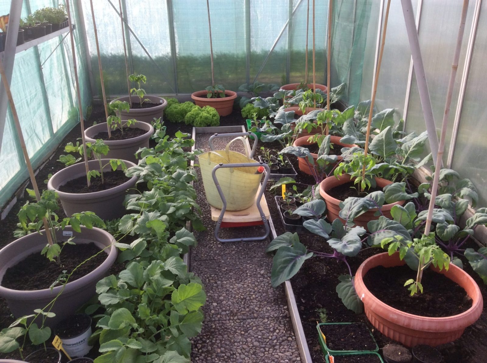 7E341E7F-52C1-4105-8E42-A1F696E63D41