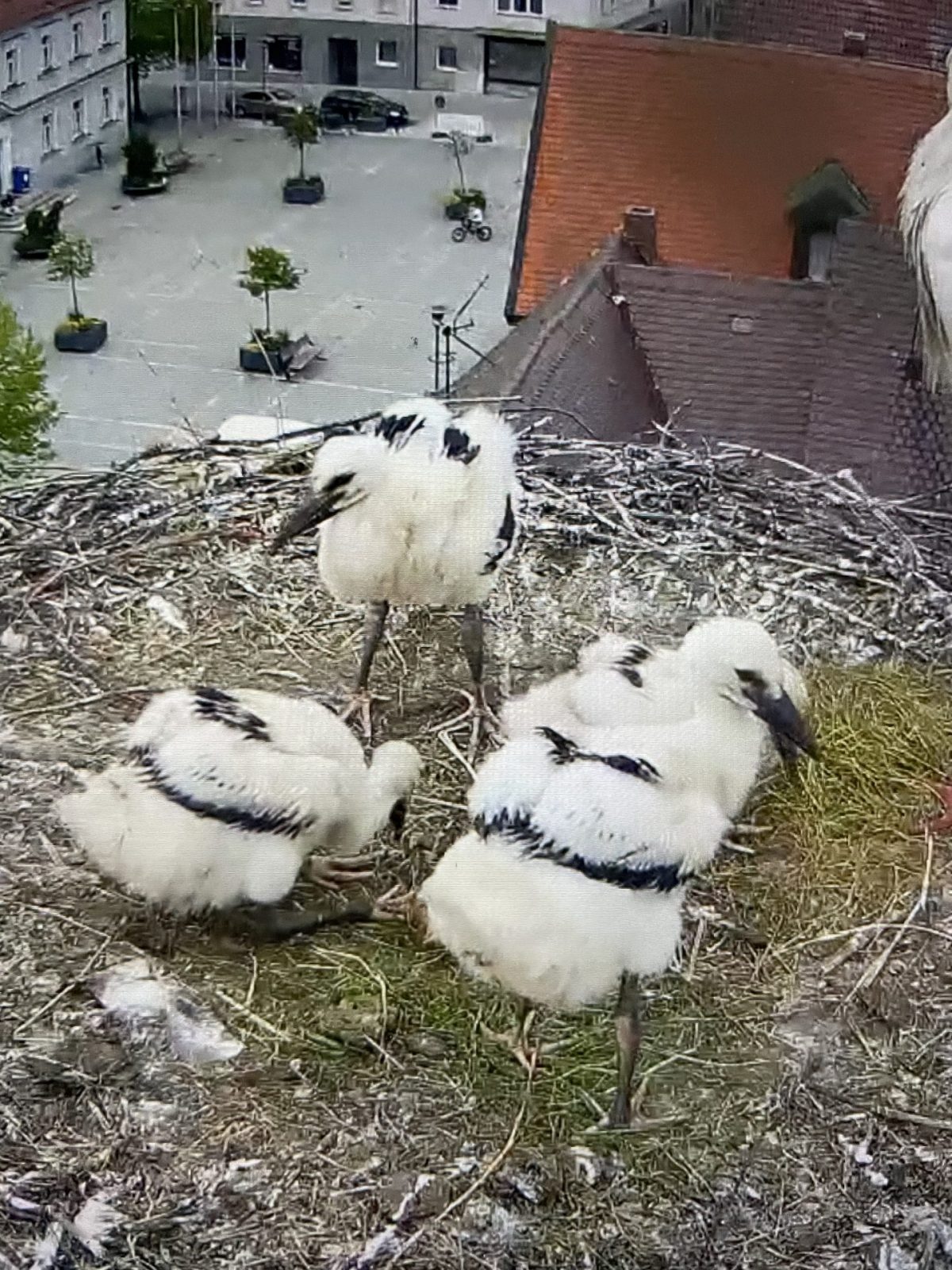 7E4A6218-CB81-49CB-AE2D-9344E1769B52