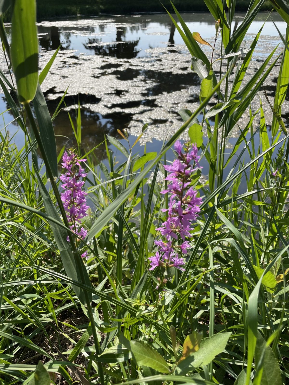 7E6DA0DF-92B0-4044-A3C1-E32857E1E4E0