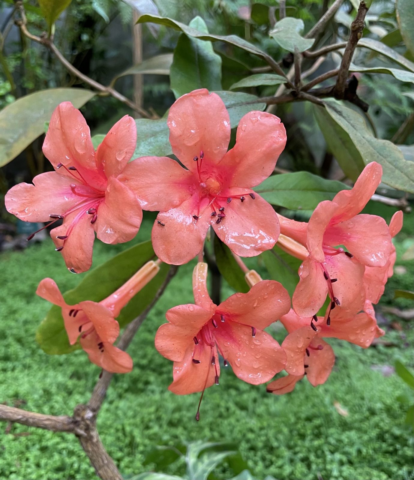 7ECEFFDE-B446-4CFA-9A35-93674C9804A3