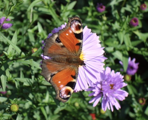 7EF576C6-1174-4500-B09D-722EF9B43C94