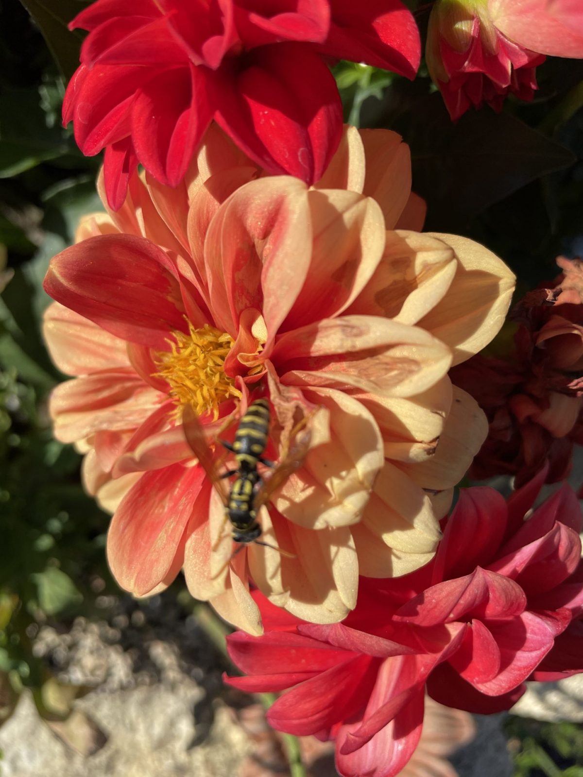 7FB8392B-80CD-44FD-9D71-750426D085CE