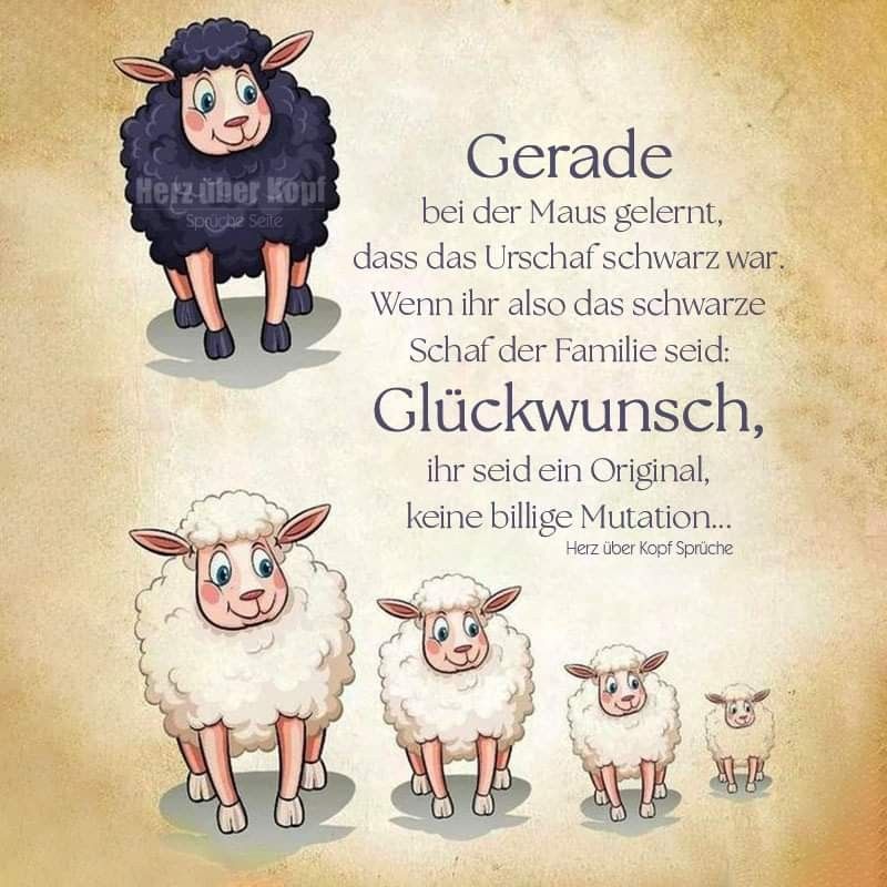 7d05a42881a1d0fad4f47a4142506b1f