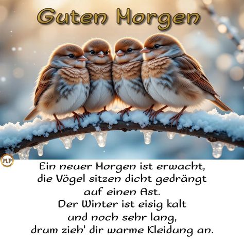 7f08bf069e42cf5863d8ef6f57d1d156