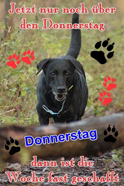 7f2baa5ec70cc0bf4048a775528e81c9