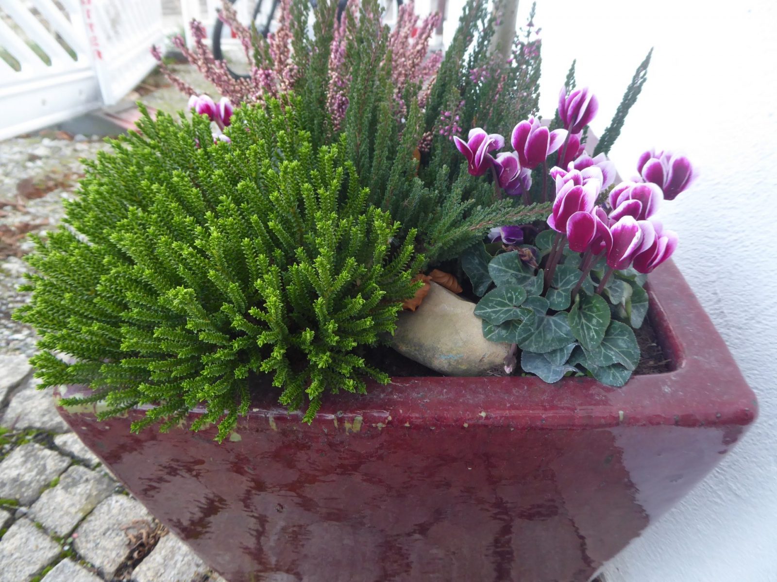 8.11.2022 auf dem Weg zur letzten Massage (27)