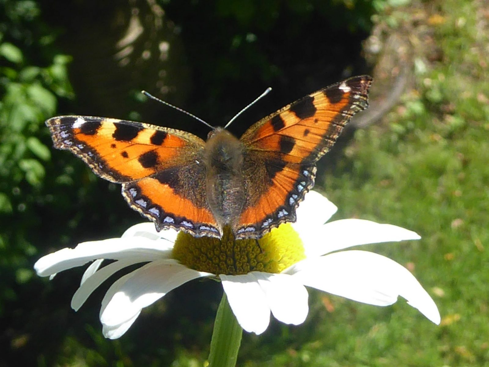 8.6.2022 Mittwoch (13)