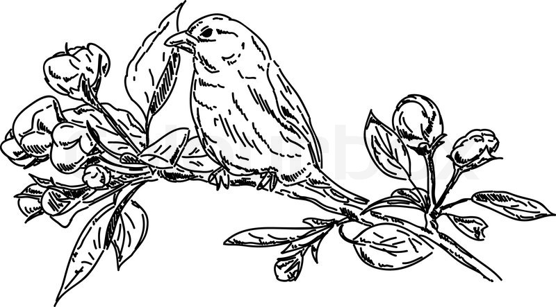 800px_COLOURBOX2653453