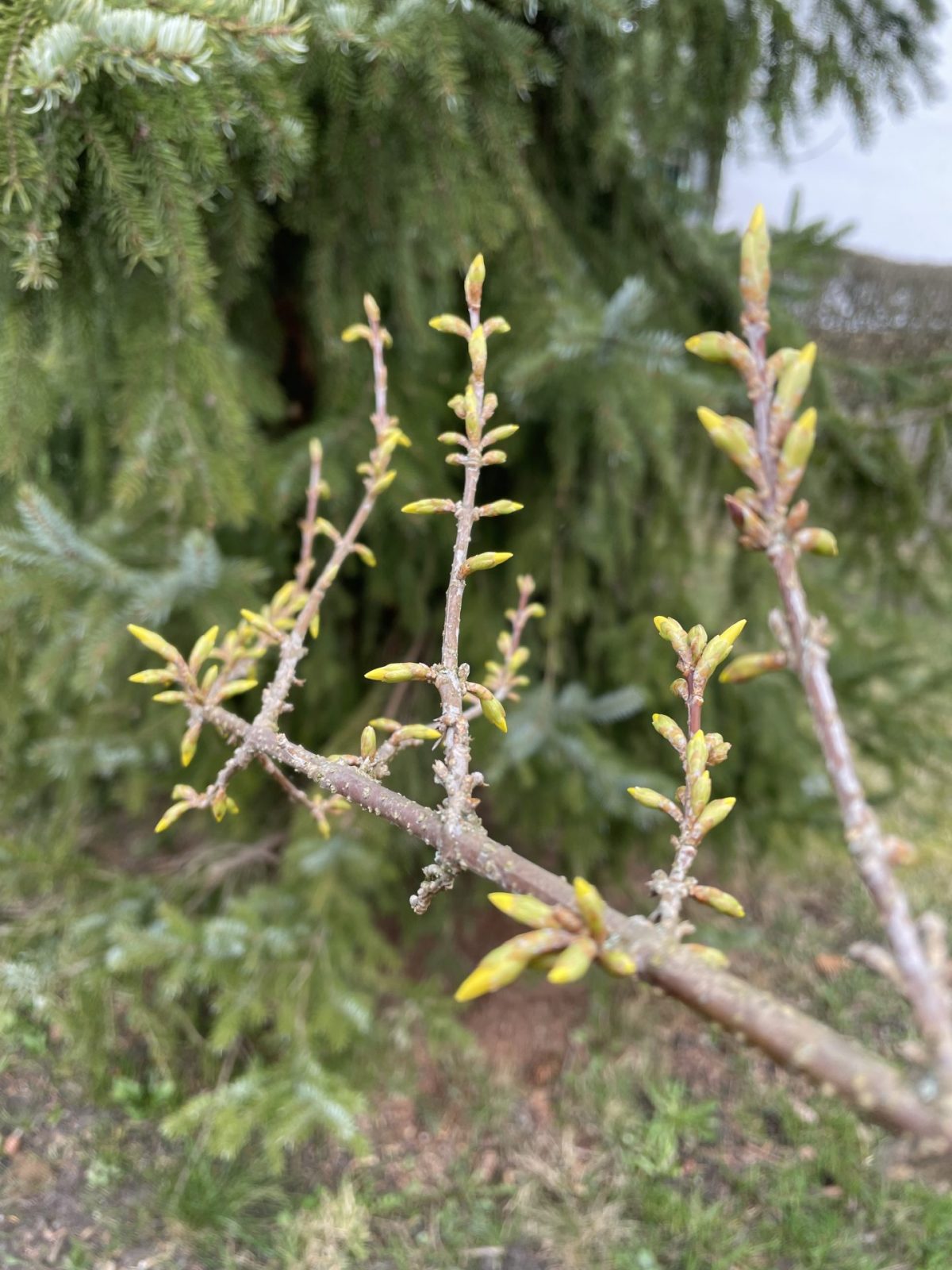 8029A758-7A44-495C-AAFE-3D16B42AE4FC