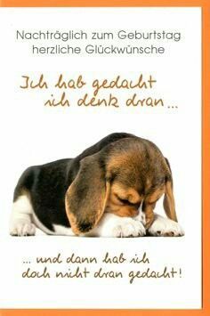 8068d422beef37d17665d8d161001694