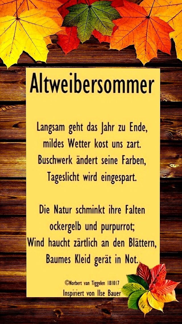 807988a019eac08130c7dc1a3486abdd