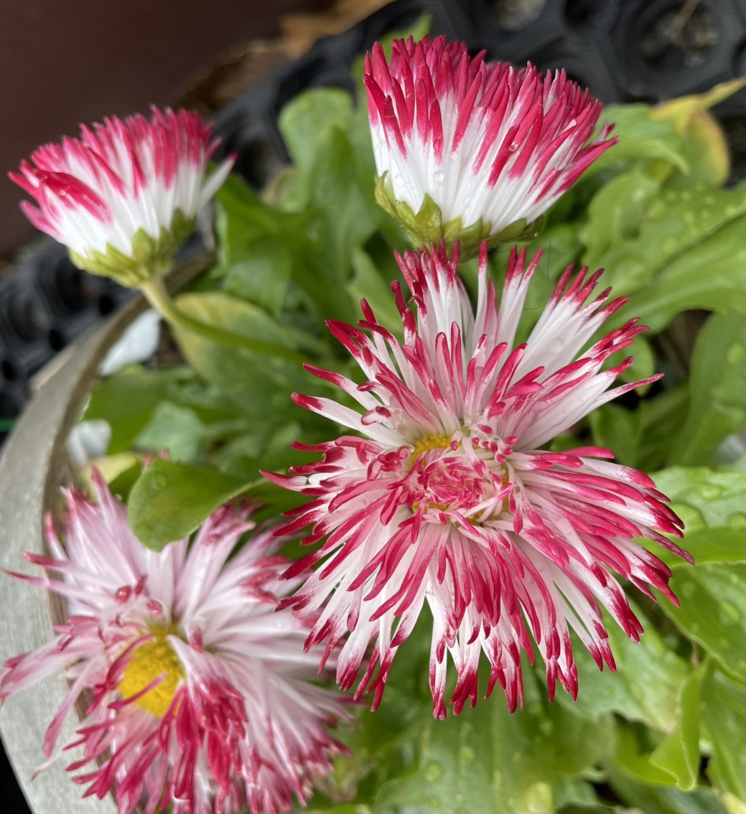 80864C7A-65B5-4FFE-853A-D92C731D5E2A