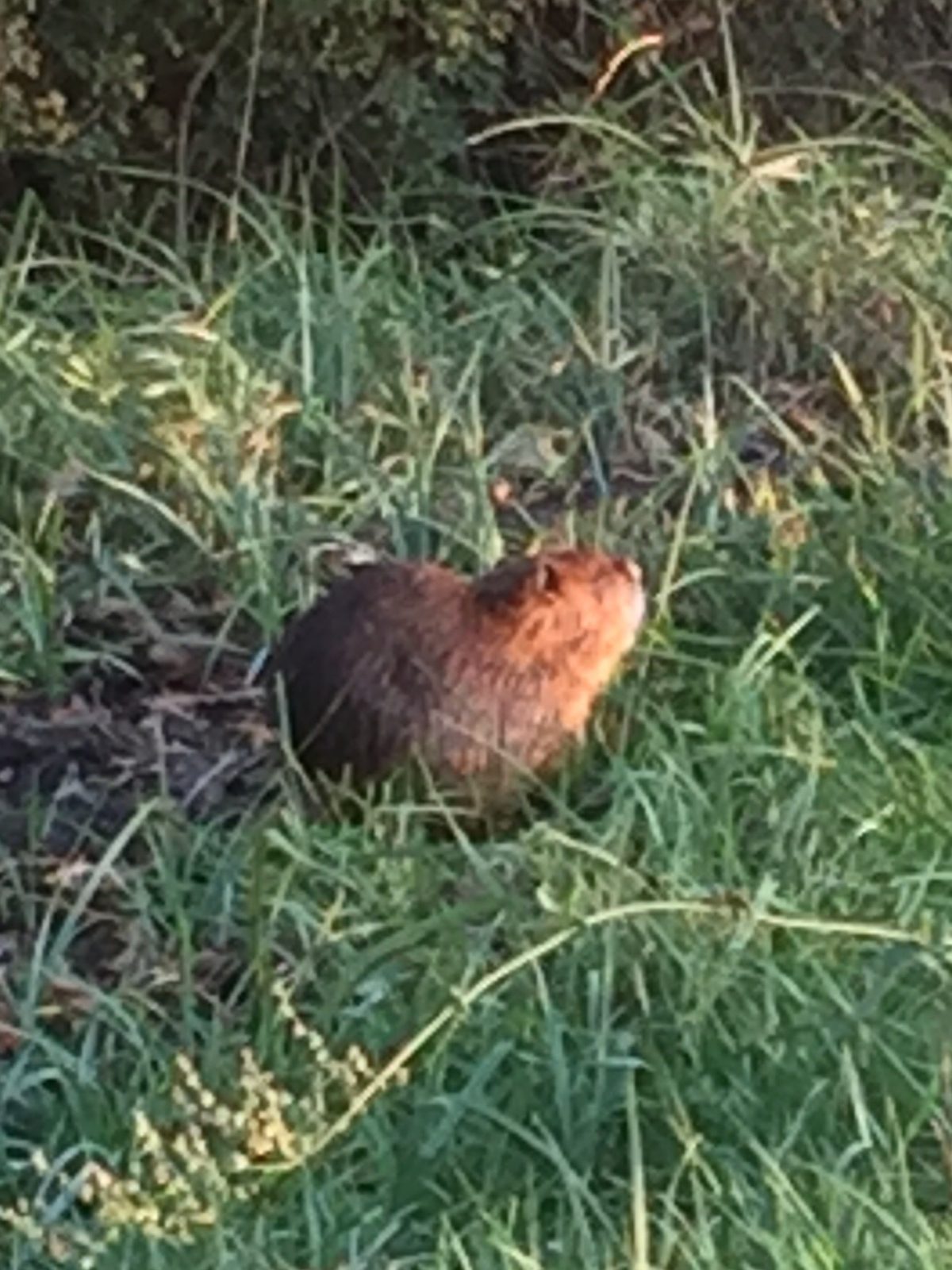 80CCADA3-A098-4893-B14C-6DF90621DA8A