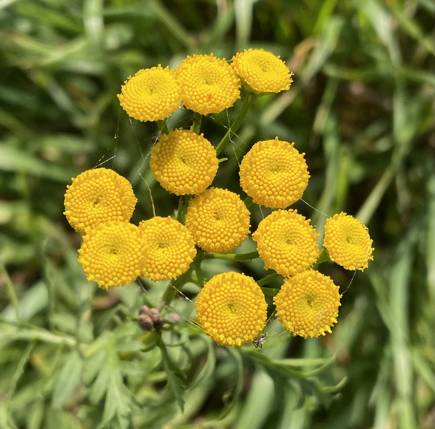 80FEC65F-462B-4381-B68E-6F238AFEEF64