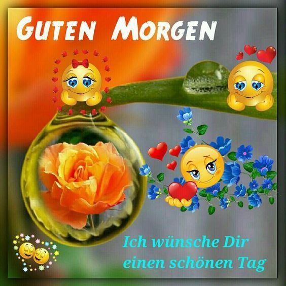 80cbfd5edf64a650dbceb69019e69527