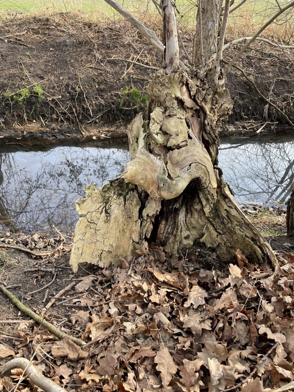 81287116-CB62-413D-9ED9-1C6AC9F6A711