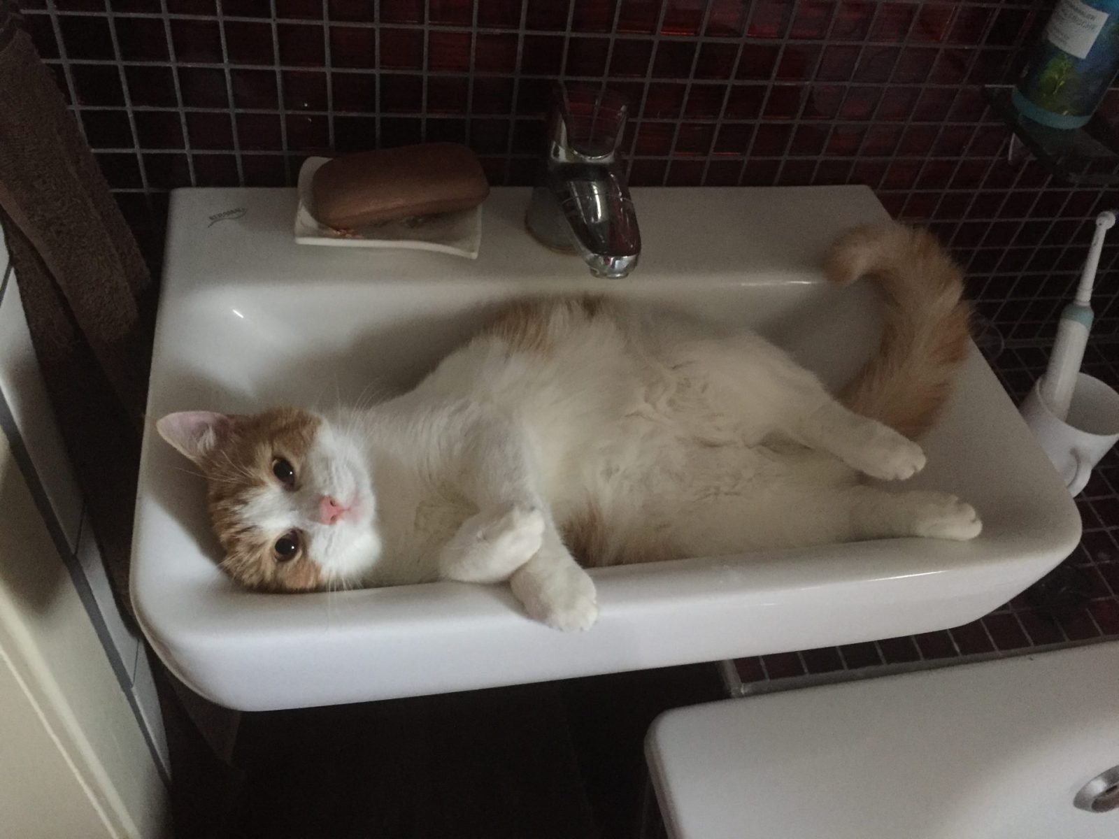 81489B9F-9D22-4945-BCCA-FE48BBBE7446