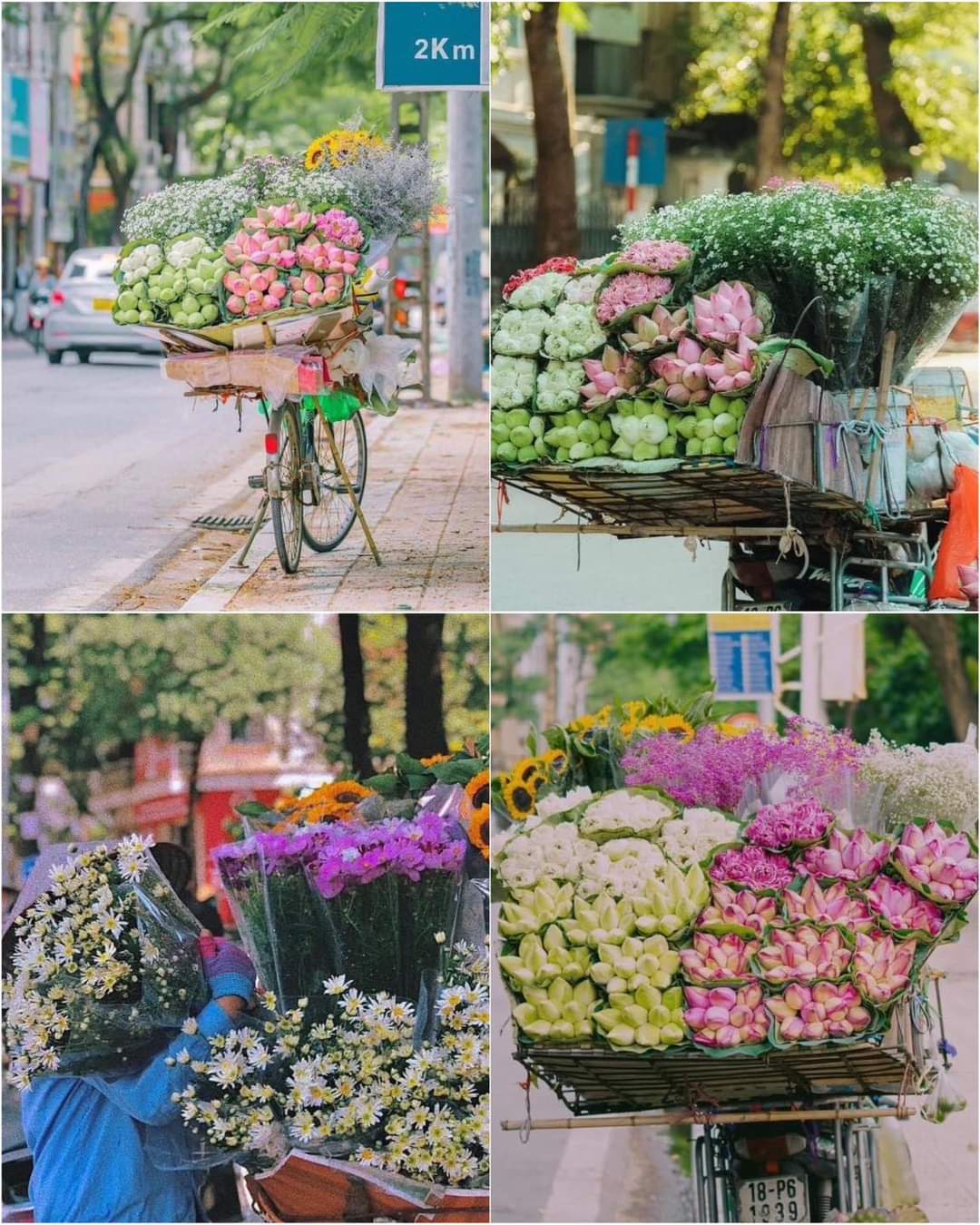 81f0ddd3-6a55-4303-95f7-2e41d8e11d31