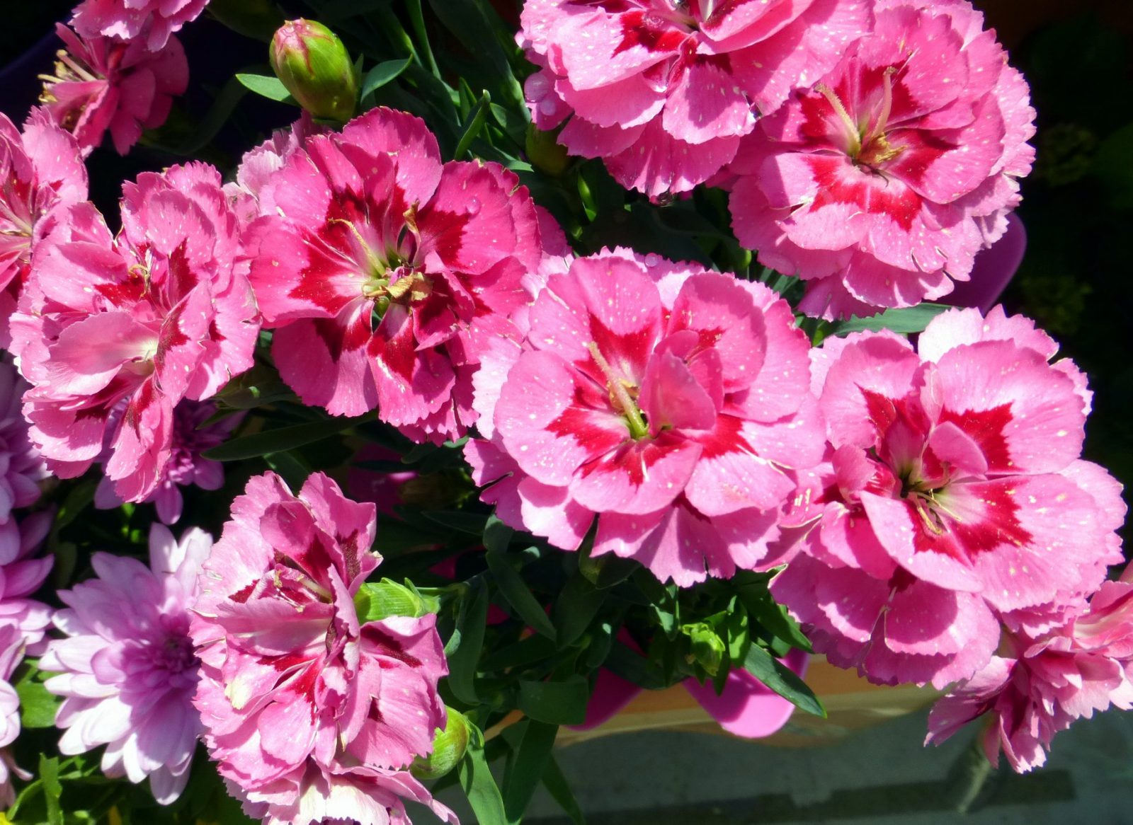 82048370_10221057632569403_516493843391053824_o