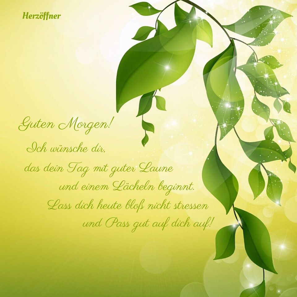 82337275_1496904150474204_6773996761116573696_o