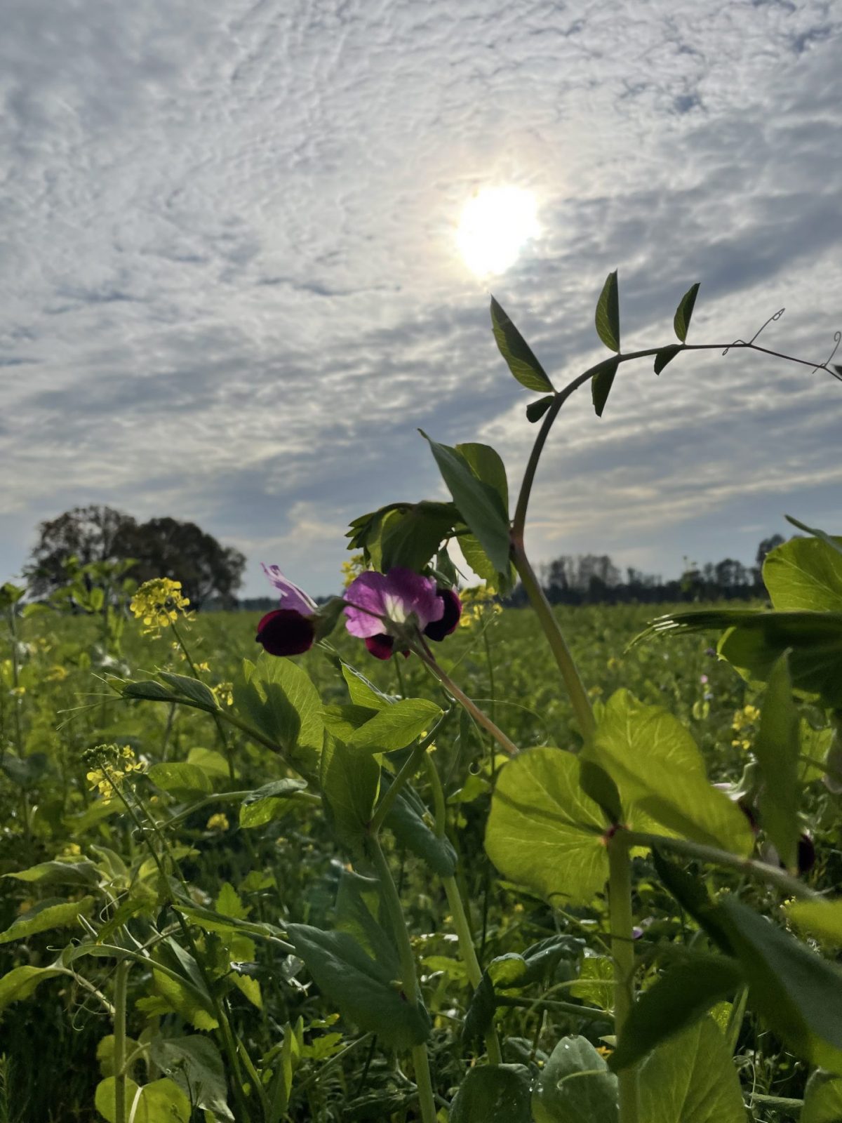 82E8A557-93B7-434C-ACD5-E6484C07165F