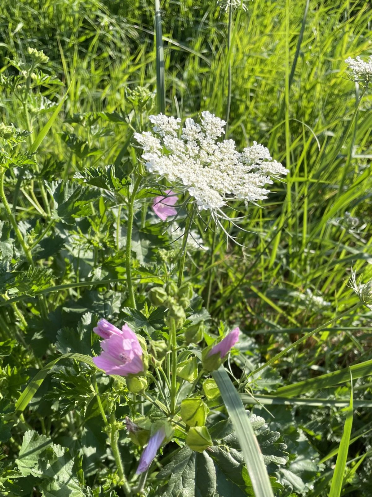 831A7F77-1E7E-4819-AB05-4F904477A632