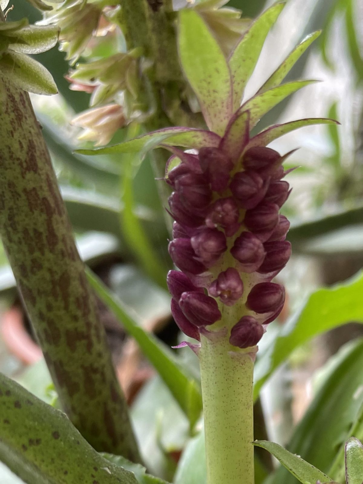 833413C2-C2FB-4E09-9531-9ED5BE8CB510