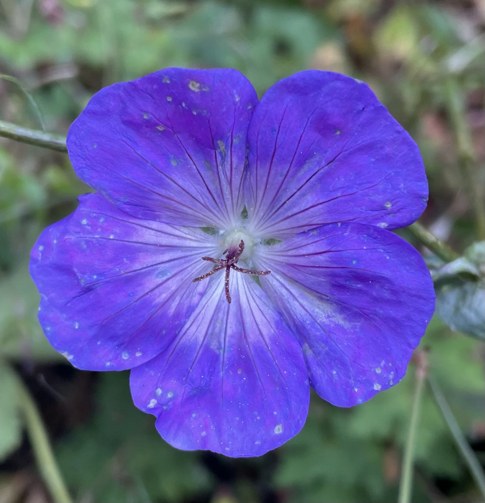 8348DB81-1840-45DD-B49F-046C76B82B82