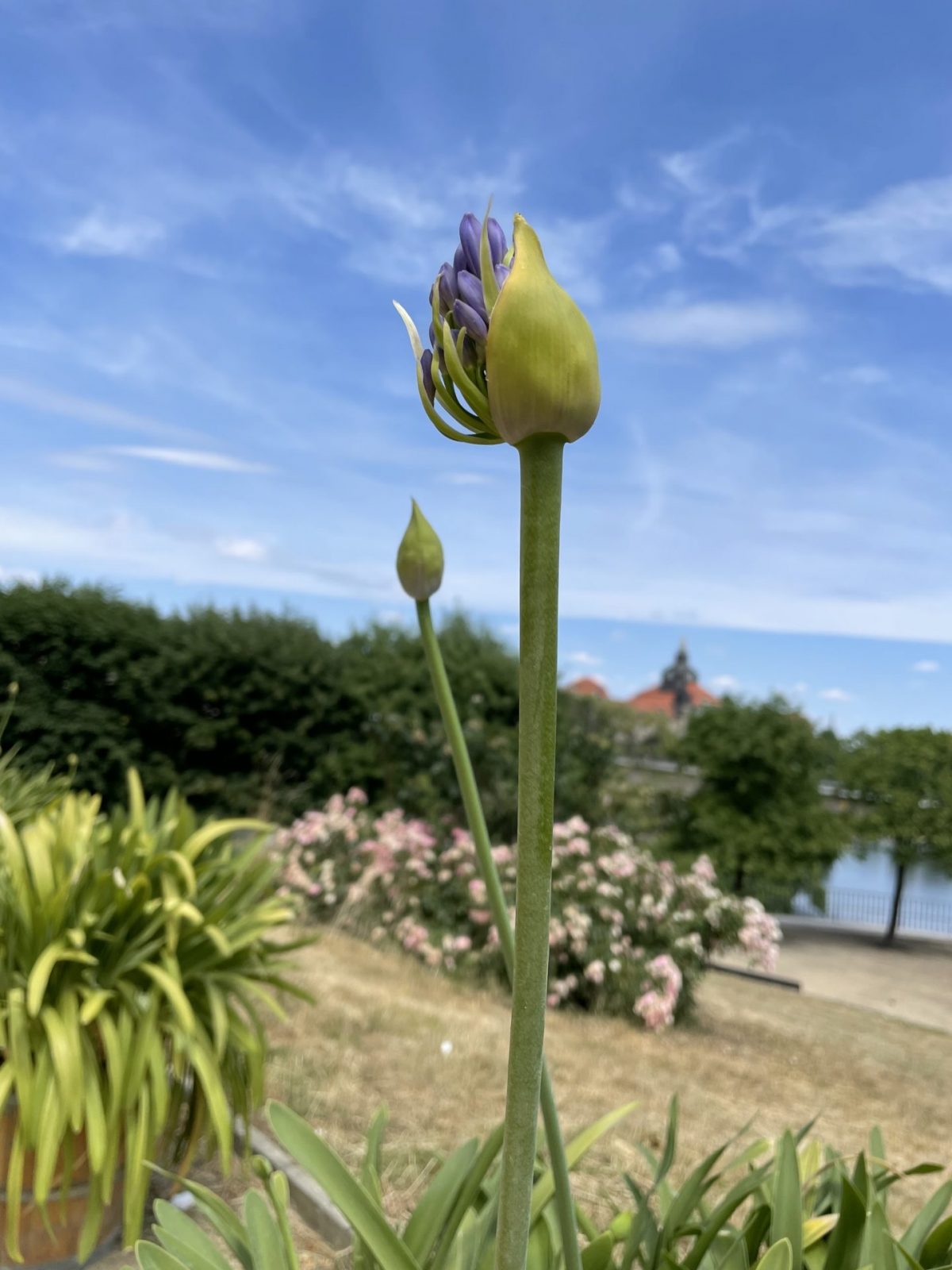 83D9A65C-4AD5-40E8-BA86-08EA2AD9272B