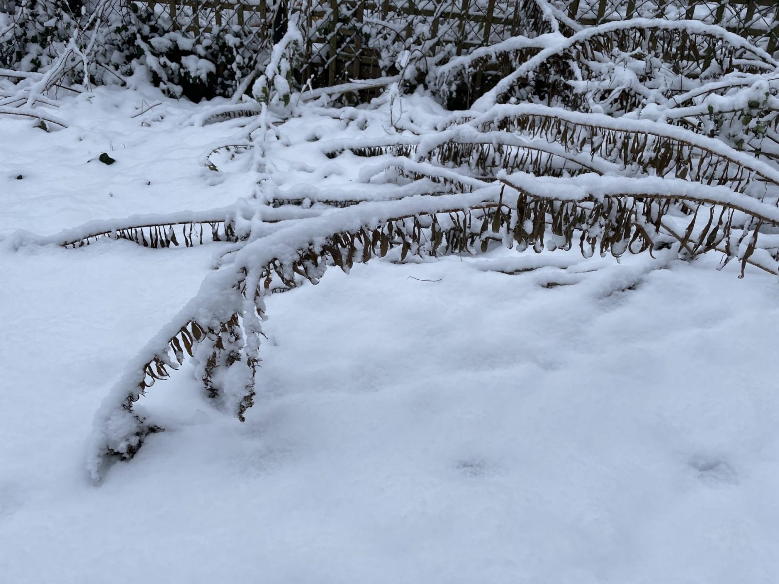 84081271-7D3E-46A9-92A3-5AB7C59D51FF