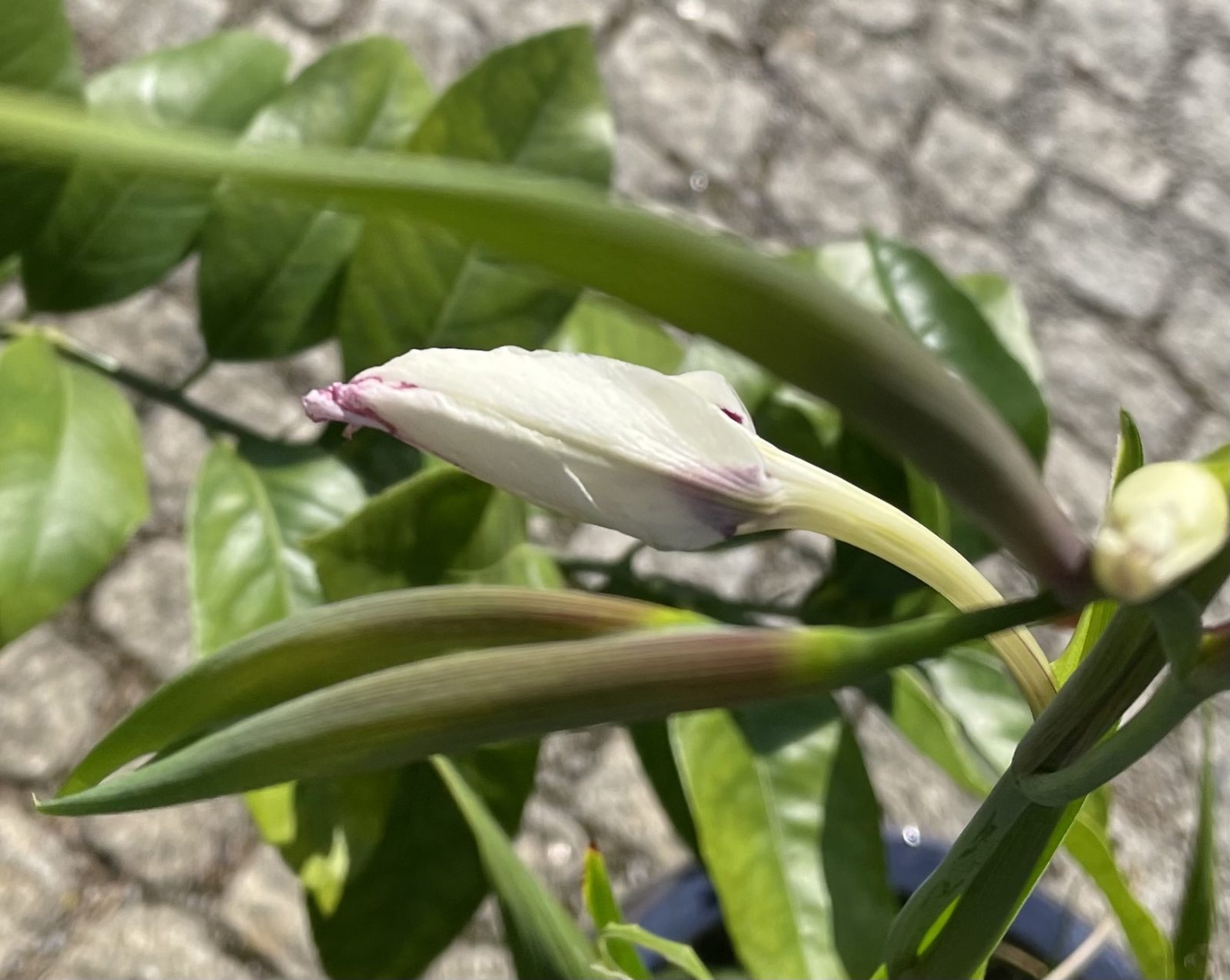 8460E647-8EDF-4C2C-94CB-1BBB7EC3DA6C