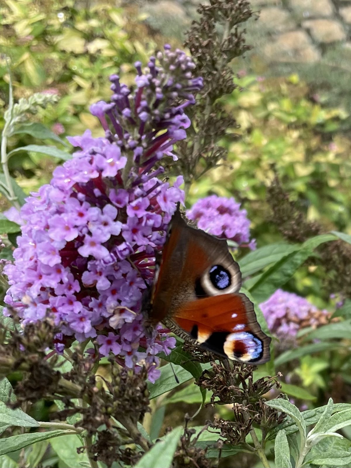 8464466A-2BC8-43B2-8D88-35F70BFF24DE