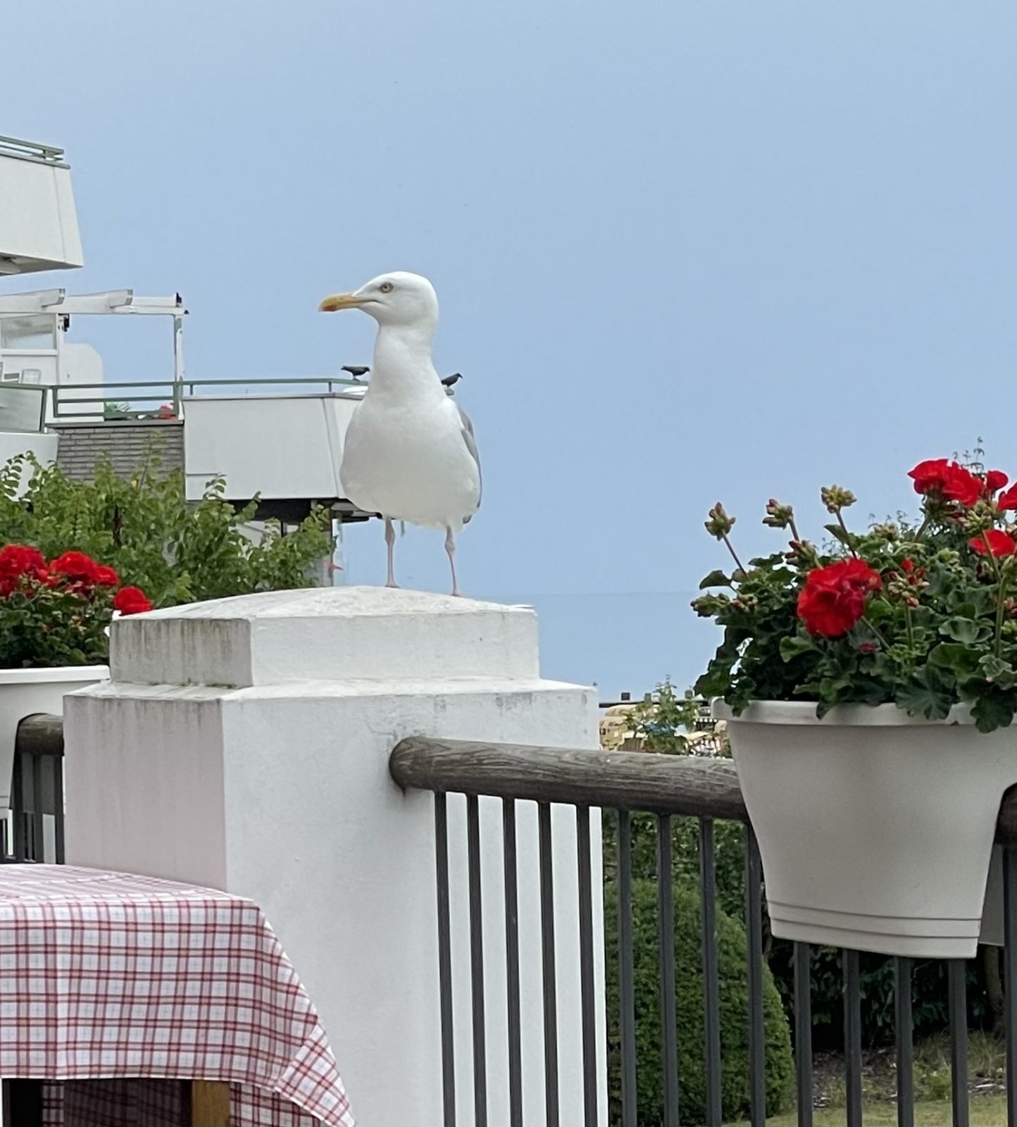 849CF4CF-3A02-4B23-8AF3-D8460D9EE9F7