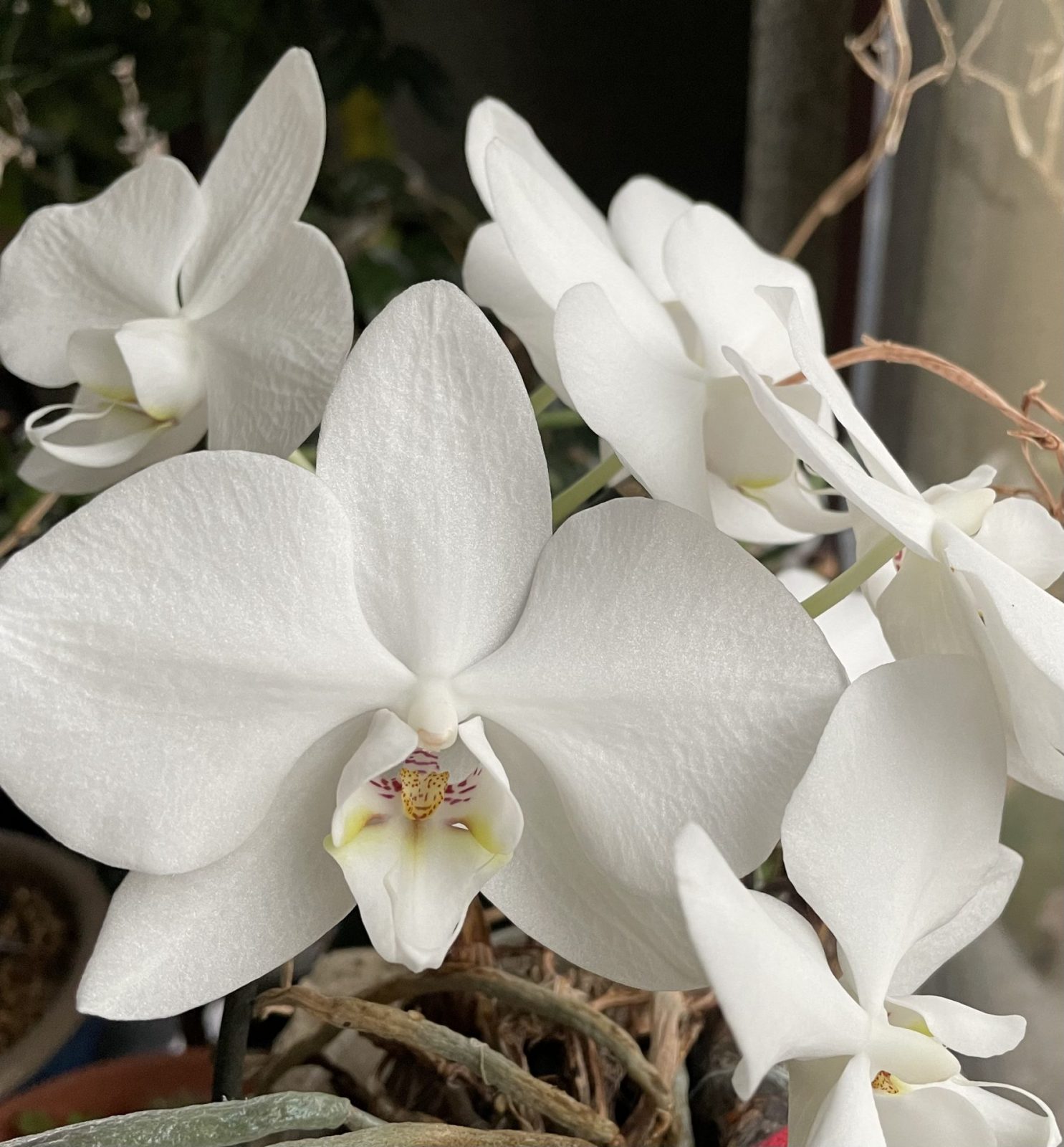 849DA624-C754-470E-AC49-012666AA16B9