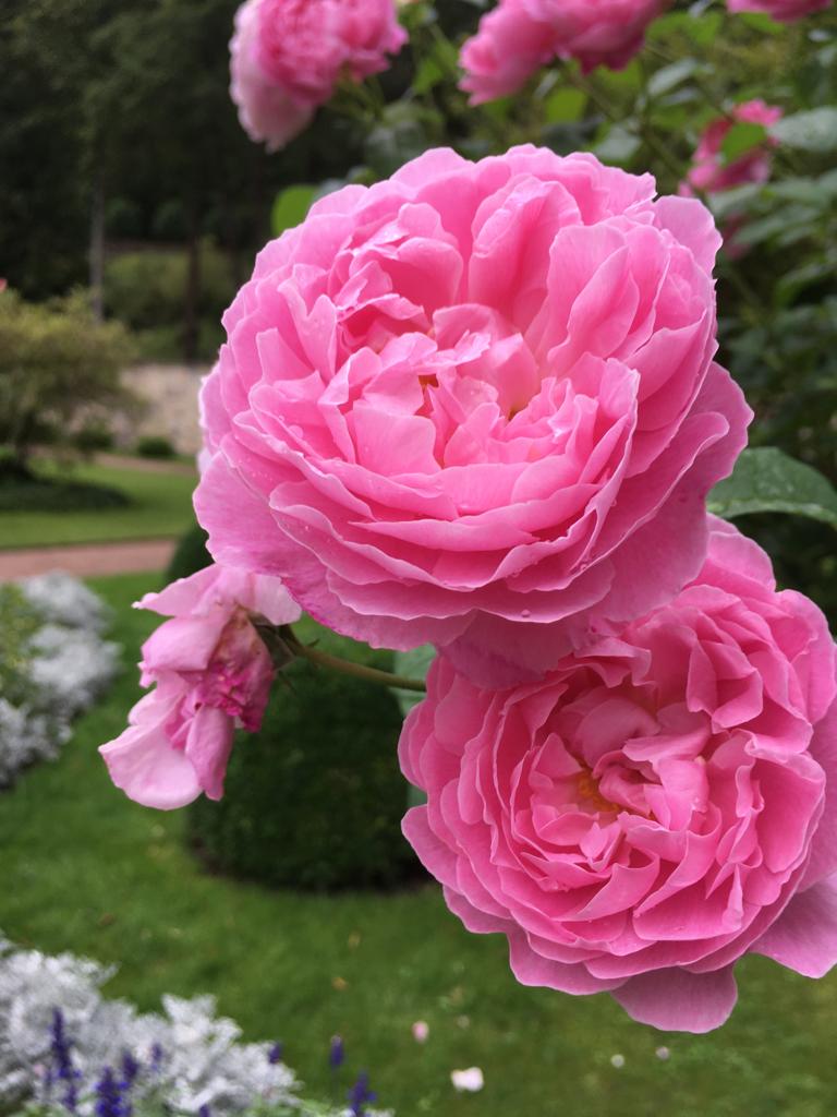 84A364E0-CE5E-43D1-86B7-BA8E787DA9A4