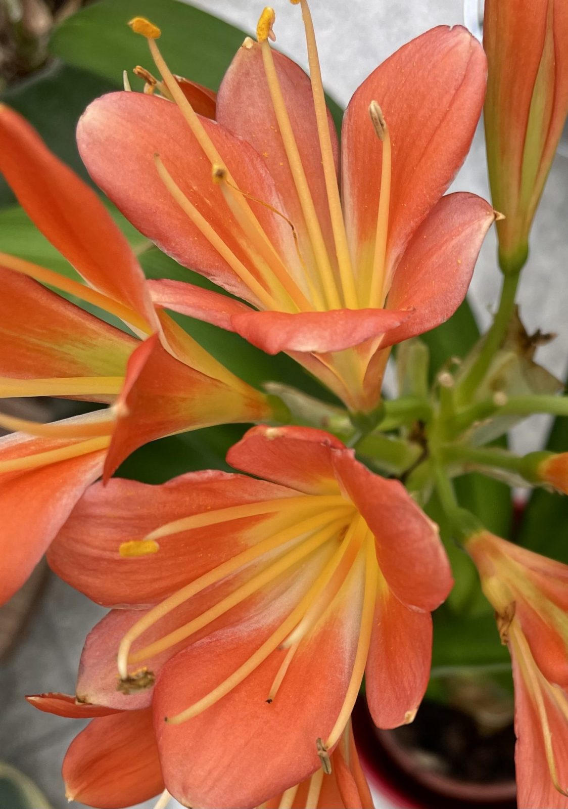 84AEA8DD-9D9C-4D32-906A-1BA21154A3EF