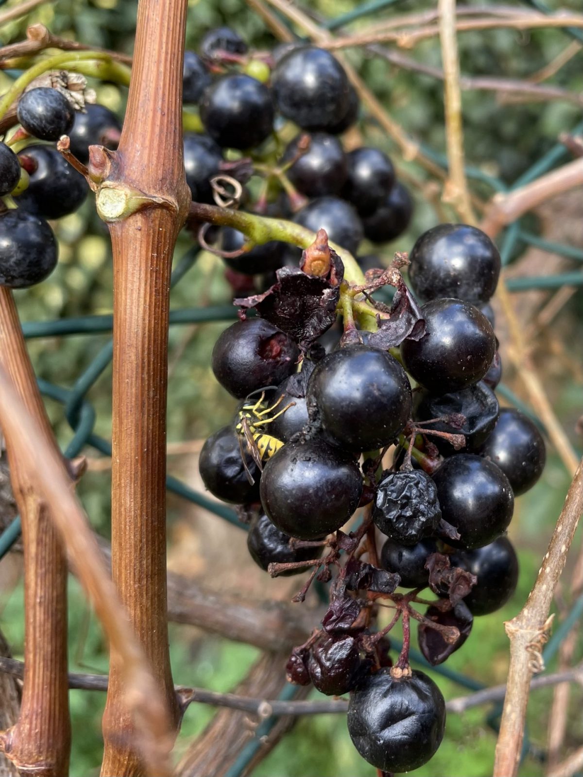 84B79CC3-2014-4263-9A80-C46C75C1E60F