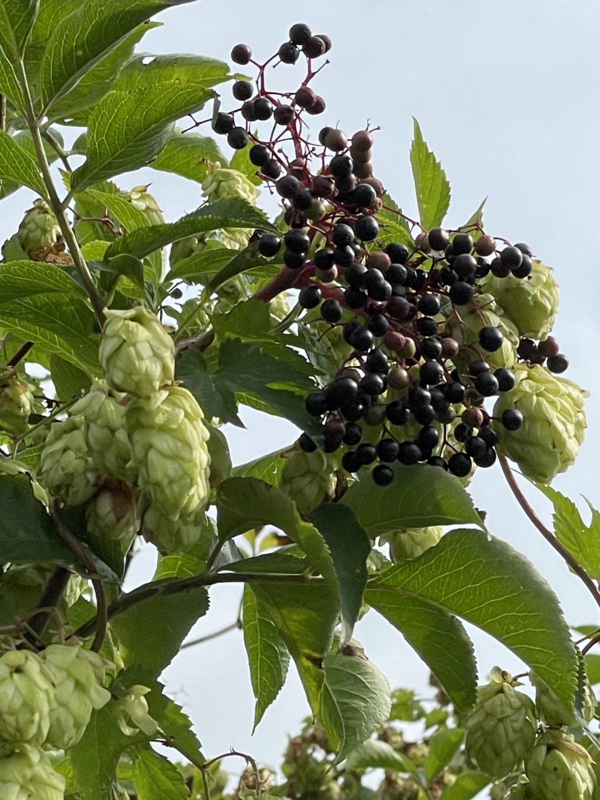 84E54881-687A-4297-A8B2-CA920E699A0F