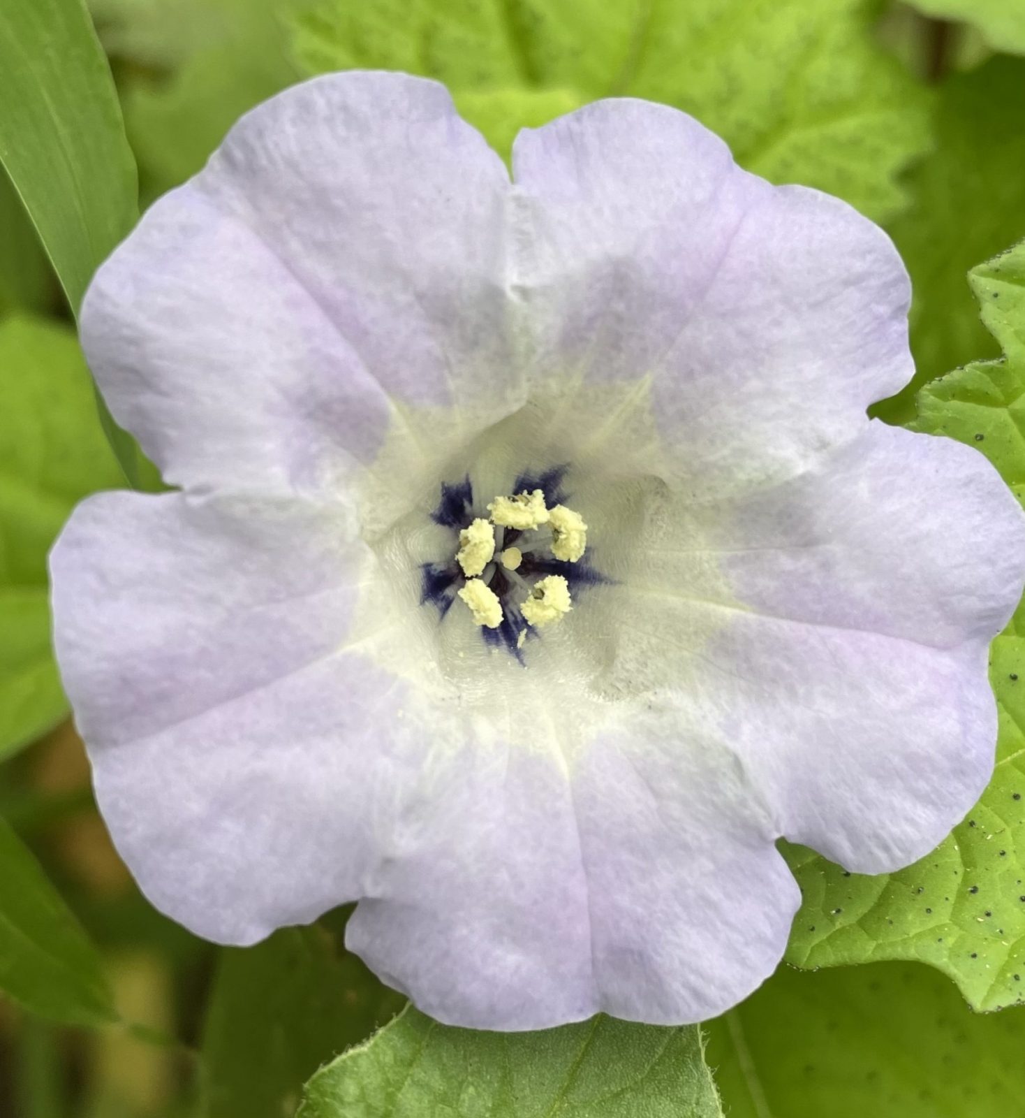 84F95719-BB2C-4F06-86C6-DD42EC7474F4